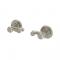 Borstad nickel