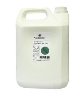  Tyl&ouml; Doftkoncentrat ESSENCE 5l - Badhuset.se