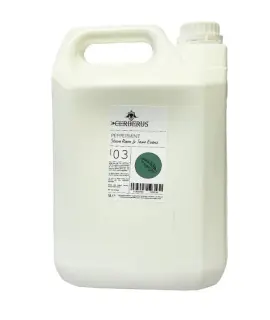  Tyl&ouml; Doftkoncentrat ESSENCE 5l - Badhuset.se