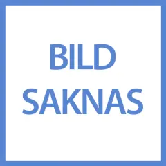  Svedbergs Förlängningsstång 90 cm, Krom - Badhuset.se