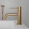Brushed Brass