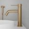 Brushed Brass