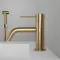 Brushed Brass