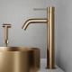 Brushed Brass
