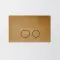 Brushed Brass