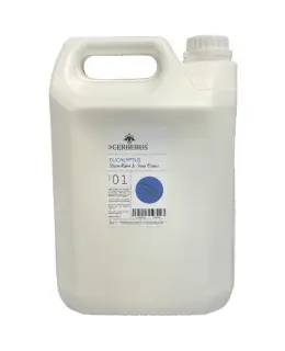  Tyl&ouml; Doftkoncentrat ESSENCE 5l - Badhuset.se