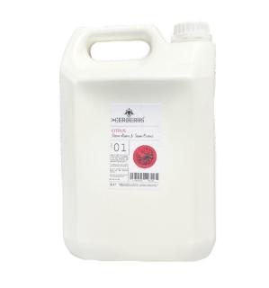  Tylö Doftkoncentrat ESSENCE 5l - Badhuset.se