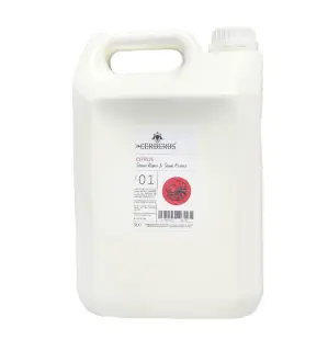  Tylö Doftkoncentrat ESSENCE 5l - Badhuset.se